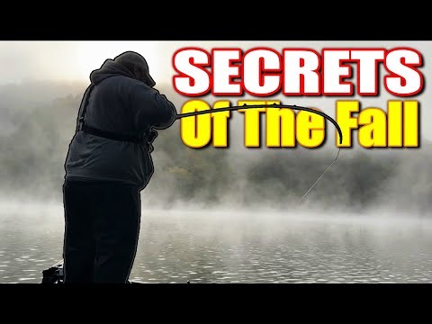 Fall Bass Fishing Secrets You Need to Know NOW