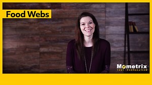 What is a Food Web? - Biology Review (Video)