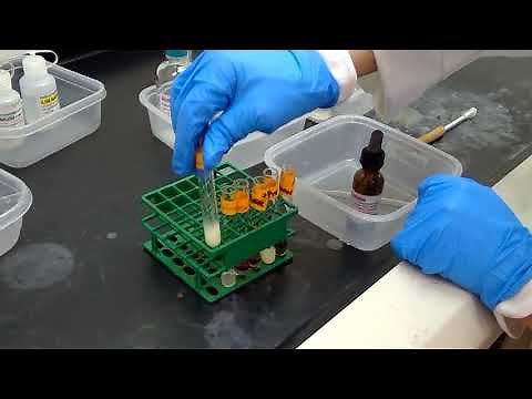 Experiment 20: Iodoform test