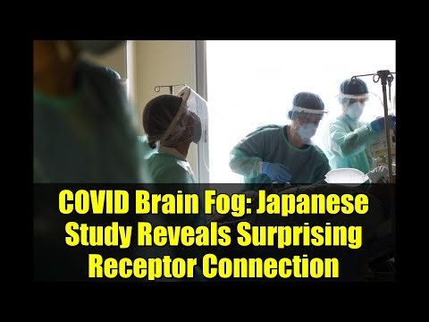 COVID Brain Fog: Japanese Study Reveals Surprising Receptor Connection