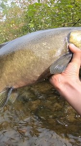 World-Class Fishing on The Salmon River NY (How To Catch Em') | The Skye Life - Fishing and Outdoor Adventures