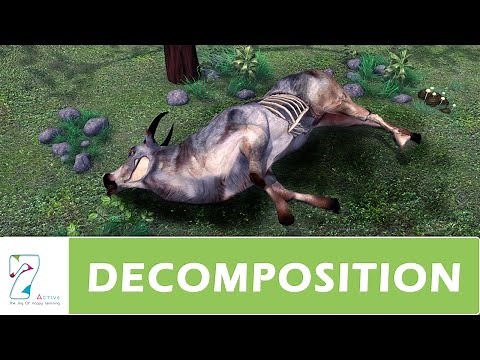 DECOMPOSITION _ PART 01