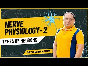MBBS First Year | Nerve Physiology | Types of Neurons | Dr Sachin Kapur | AIIMS