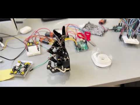 Robotic Hand Demo Blueprint