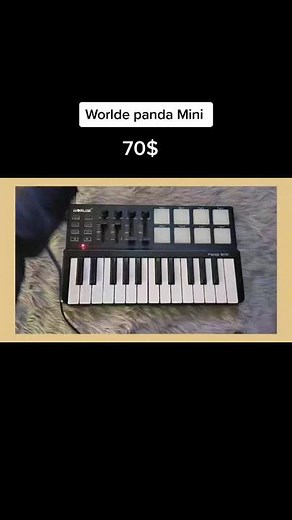 Worlde Panda Mini Midi Keyboard Overview