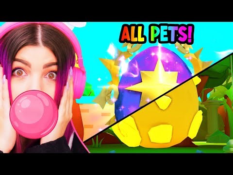 I Got Every Summer Event Pet BEFORE IT WAS TOO LATE in Bubble Gum Simulator Infinity!