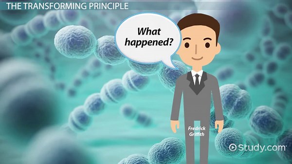 DNA: Discovery, Facts, Structure & Function in Heredity