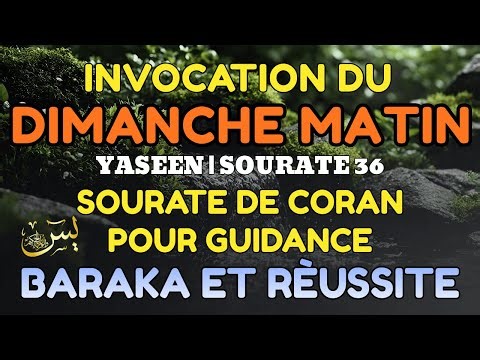Sourate Yaseen | Comence Ton Dimanche Matin Avec La Lumiére Du Coran | de Baraka et Succes