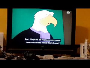 the Simpsons bird court scene.