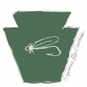 Top 5 Best Flies for Summer Trout Fishing in Pennsylvania