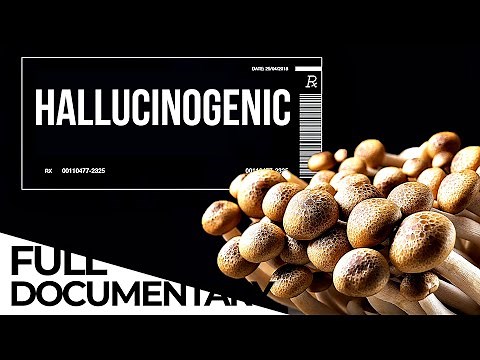 Magic Medicine: The Possible Effect of Mushrooms Treating Depression | ENDEVR Documentary