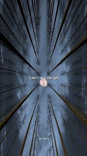 Alan Walker - Spectre | Lyrics | Aesthetic | Whatsappstatus | Music | Englishsongs