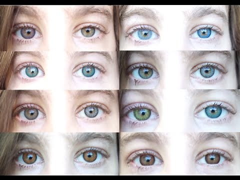 Color Contacts: All 12 Freshlooks Color Contact Lenses