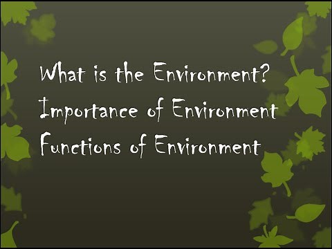 What is the Environment?|Importance of Environment|Functions of Environment