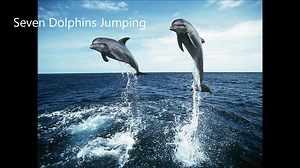 34 reactions · 13 comments | DoubleTree Beach Resort by Hilton on Reels | Facebook