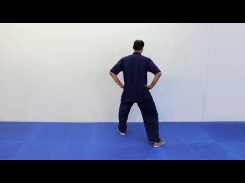 Stepping in Tai Chi Lesson 1: Basics