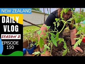 A quite day gardening and getting supplies after a late night [ Life in New Zealand season 2#149]