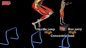 303K views · 776 reactions | Hurdle jump and stick | 3D Anatomical...