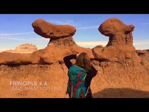 7 Principles Hand Signs