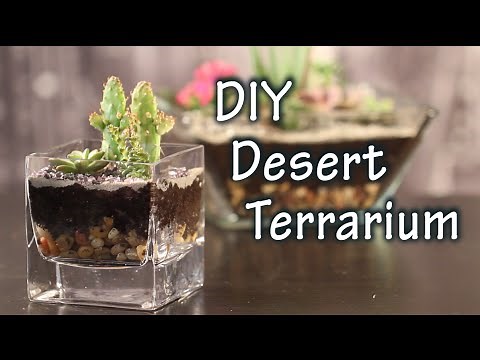 DIY Tutorial On How To Make A Terrarium with Cacti and Desert Plants