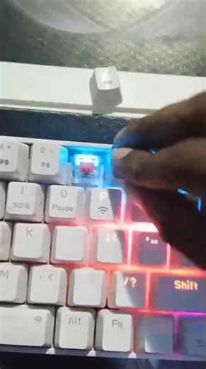 hydra 10 portronics machanical keyboard