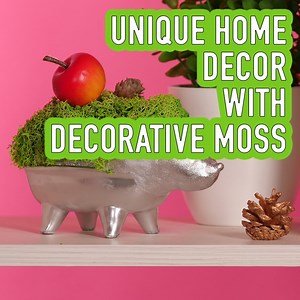 15K views · 35 reactions | No idea how to decorate your room? Here are a couple of neat ways to do it using moss. | Fabiosa Daily | Facebook