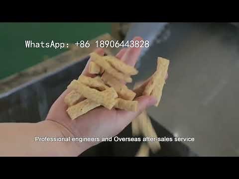 Textured Soy Protein Soya Nuggets Manufacturing Process Line| How to produce soy protein？