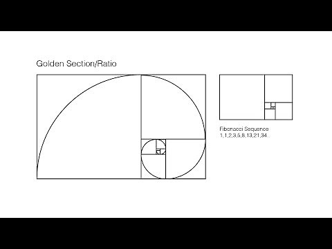 How To: Draw Golden Rectangle Fibonacci Sequence | Render the golden ratio/mean in Adobe Illustrator