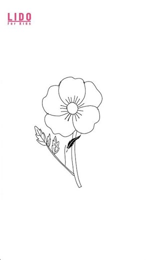 How to Draw a Poppy Flower Easy Simple Drawing for Kids and Beginners #lidoartworks