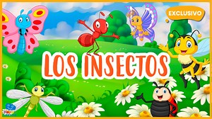 Vídeo educativo: Los insectos para niños | Happy Learning