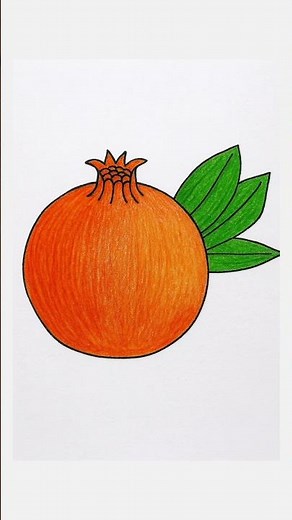 Easy Pomegranate Drawing | Simple Colored Pencil Drawing Tutorial for Beginners 🎨