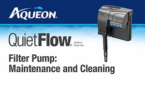 QuietFlow Filter Pump Maintenance | Aqueon