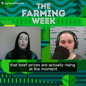 Beef prices ‘rising’ despite Chinese market suspension Despite the...