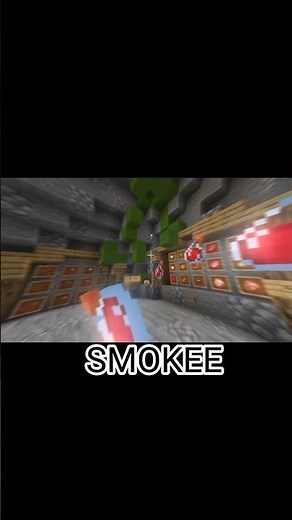 I Tested the Best FPS Boosters for Minecraft!