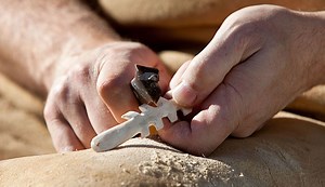 How we became human | Natural History Museum