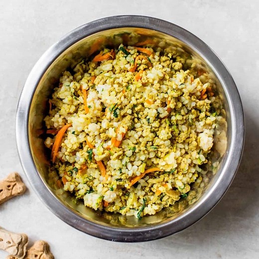 30-Minute Stovetop Homemade Dog Food « Healthy DIY Recipe