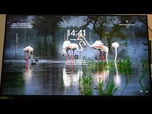 How To Enable & Disable Auto Input Source Input on Acer Predator XB3?