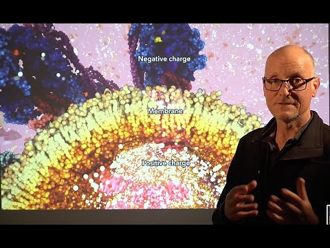 Molecular animation – Tech Talk by Drew Berry wehi.tv (2022)