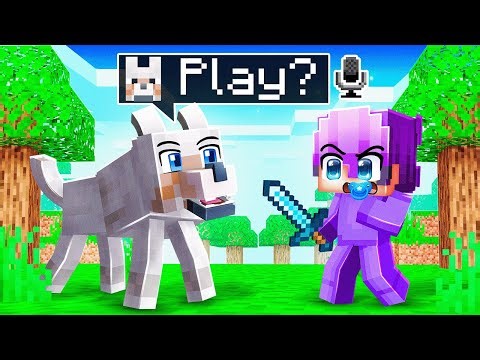 I Made Dogs Talk to Troll Baby Dash