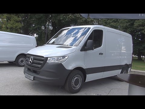 Mercedes-Benz Sprinter 311 CDI Compact 4x2 Panel Van (2021) Exterior and Interior