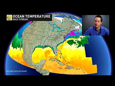 How Ocean Currents and Temperature affect climate and weather - The Weather Network