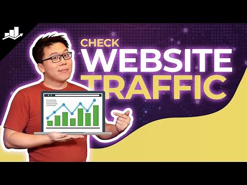 How to Check Your Website's Traffic (Step-by-Step Guide)