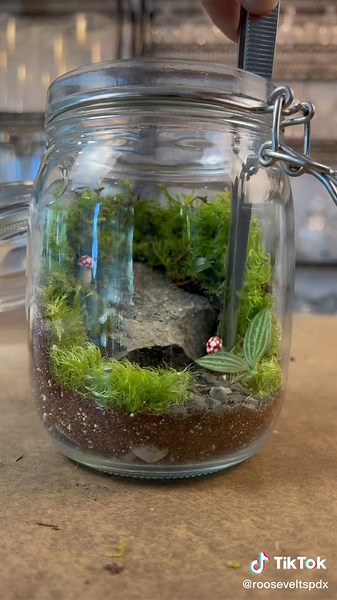Let’s Make a Terrarium in a Jar: Rocks, Charcoal, Soil, Moss, Plants, and More!