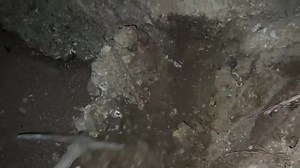 29K views · 1.2K reactions | Gold Legend Best Long Range Locator –...