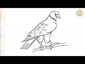 Hawk drawing easy | Bird drawing tutorial | How to draw A Hawk step by step simply | #artjanag