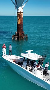 2.6M views · 28K reactions | Sight fishing cobia in the gulf of mexico! Easy to spot with my Waterland sunglasses! Save 15% off use code landshark #fishing #cobia #waterlandco | Landshark Outdoors | Facebook