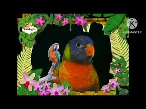 the amazing world 2006 parrot