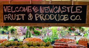 Plant Nurseries Bellevue, WA | Newcastle Fruit & Produce Co.