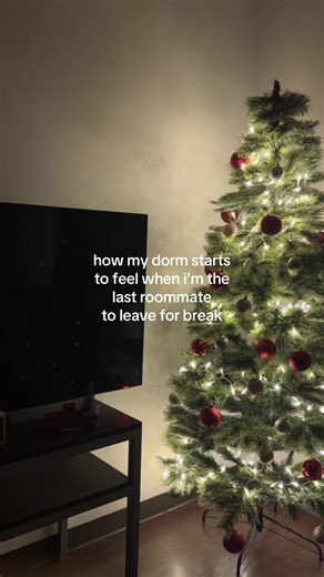 Feeling Lonely in the Dorm During Break