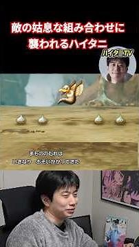 敵の姑息な組み合わせに襲われるハイタニ【ドラゴンクエストⅠ&Ⅱリメイク】 #ハイタニ #shorts